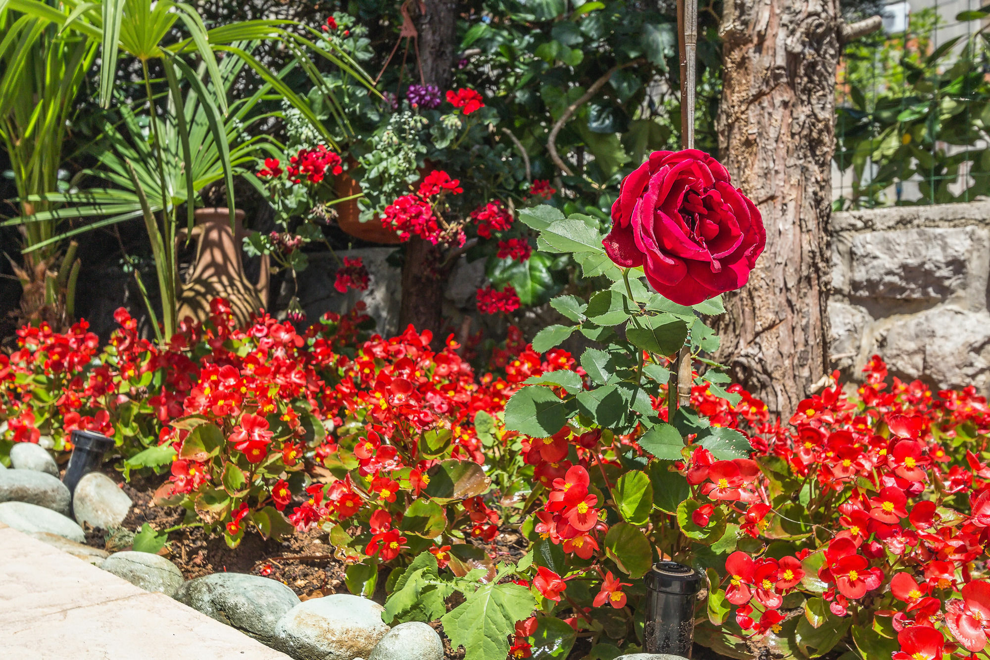 Villa Roses Apartments & Wellness Ičići Eksteriør bilde